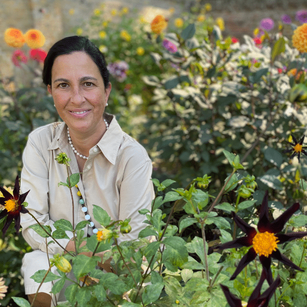 Dalia perchè scegliere le dalie