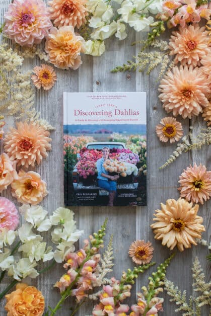 libro con cornice di fiori