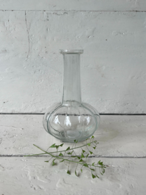 vaso il giardino di famiglia trasparente vetro medio