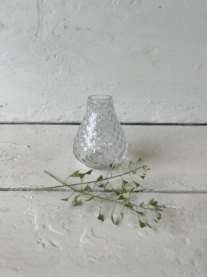 vaso il giardino di famiglia trasparente vetro mini 2