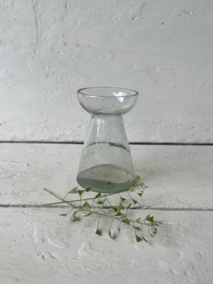 vaso-il-giardino-di-famiglia-trasparente-vetro-piccolo