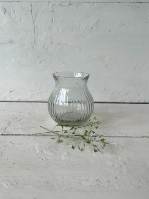 vaso il giardino di famiglia trasparente vetro piccolo
