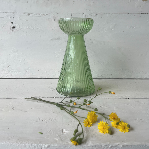 vaso il giardino di famiglia verde trasparente vetro grande