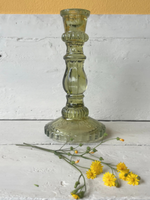 vaso il giardino di famiglia verde trasparente vetro grande