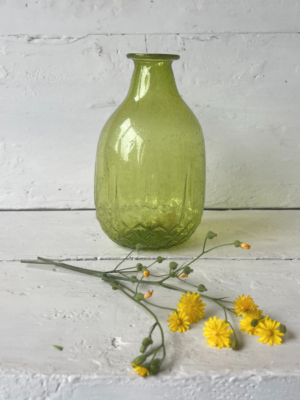 vaso il giardino di famiglia verde trasparente vetro medio