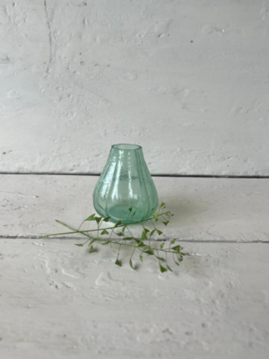 vaso il-giardino di famiglia verde trasparente vetro mini