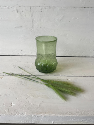 vaso il giardino di famiglia verde trasparente vetro piccolo