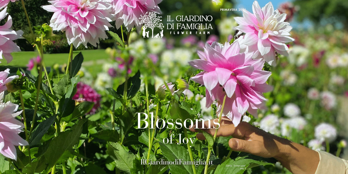 Primavera 2024 Blossoms of Joy