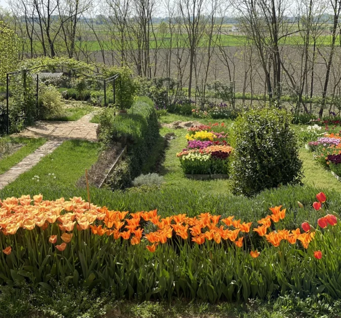 Cascina dei tulipani di tutti i colori
