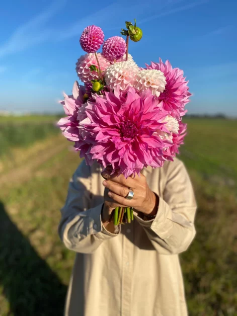 Bouquet Lillà Rose da regalare