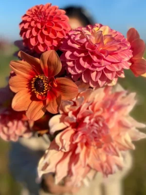 Coral sunset bouquet arancione il giardino di famiglia