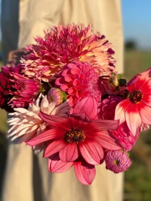 Fizzy blossom bouquet il giardino di famiglia