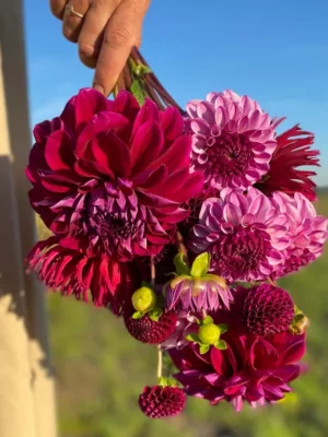 Purple velvet bouquet viola il giardino di famiglia