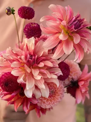 Symphony of love bouquet rosa il giardino di famiglia