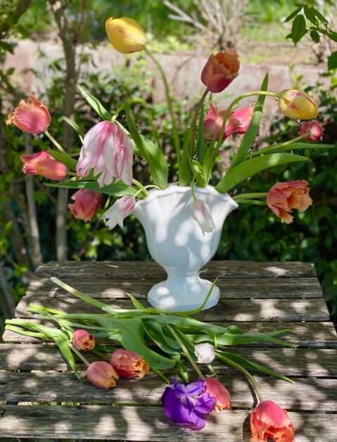 vaso tulipaniera ceramica bianca