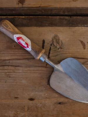 Paletta da trapianto