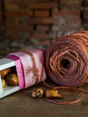 bomboniera con bulbi in una piccolascatola di cartone rosa