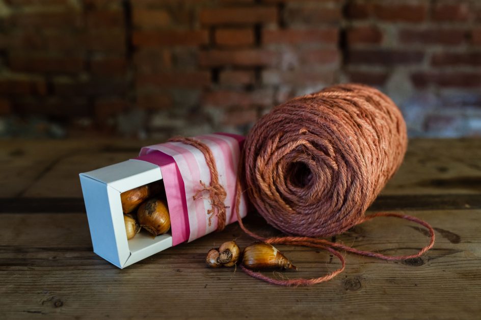bomboniera con bulbi in una piccolascatola di cartone rosa